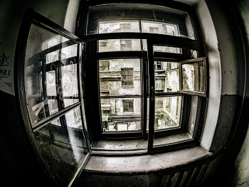 Rear Window / ***