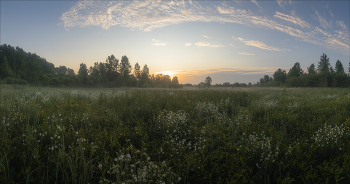 am Morgen / ***