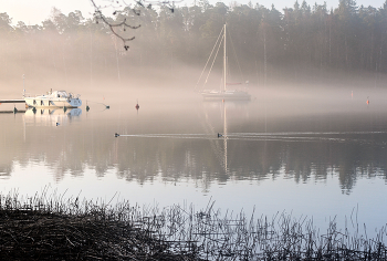 In der Stille des Morgens / ***