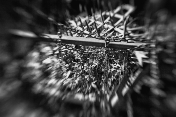 Leben rund um / ***