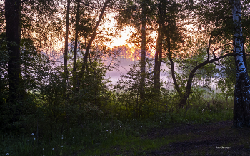Sonnenaufgang / ***