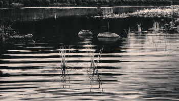 Leben rund um / ***
