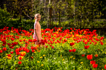 Dasha / ***