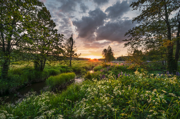 Summer Sunset / ***