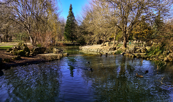 Schwimmbecken / ***