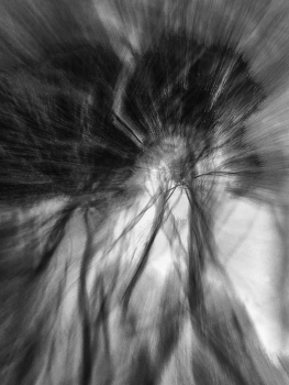 Leben rund um / ***