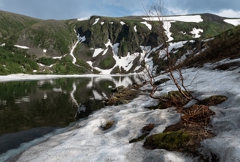Sommer Schnee / ***