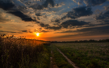 Sunrise. / ***