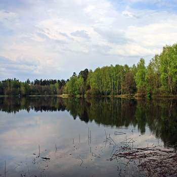 Am Ufer ... / ***
