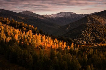 Altai / ***