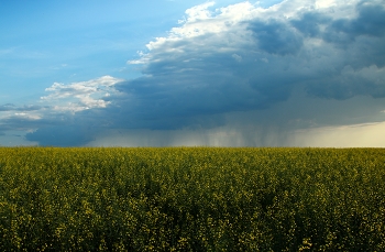 Vor dem Sturm / ***