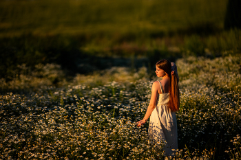 In der Daisy-Feld / ***