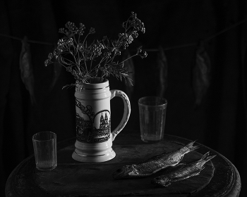 Tansy / ***