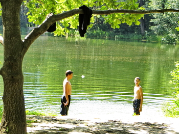 Auf dem Teich / ***