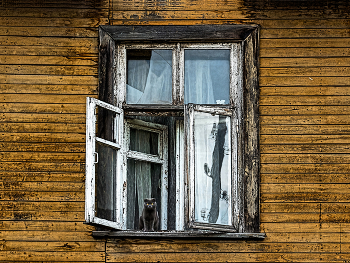 Fenster zur Welt / ***