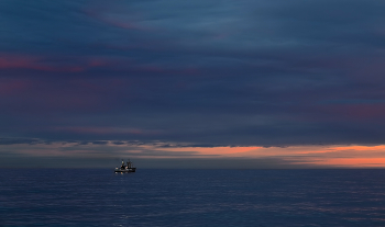 blue evening / ***
