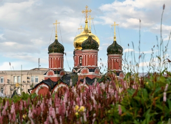 Domes / ***