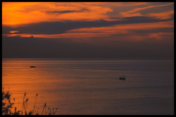 Summer Sunset / ***