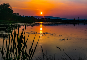 Warmen Abend / ***