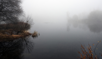 Nebel / ***