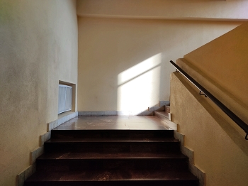  / ***