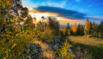 in den herbstlichen Wald / ***