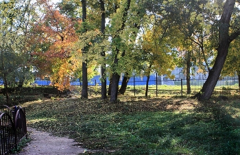 Frühaufsteher / ***