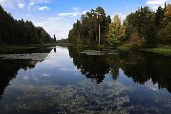 Auf dem See / ***