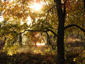  / park-3