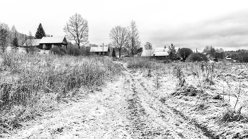 Leben rund um / ***