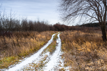 Auf dem Weg / ***