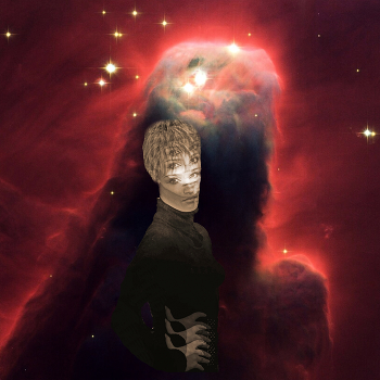  / ***