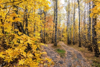 Über Herbst ... / ***