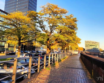 Speicherstadt Hamburg / https://www.youtube.com/watch?v=i0kxa-sex6o&t=47s
https://www.youtube.com/watch?v=kJVKlWcQxCg&t=19s
https://www.youtube.com/watch?v=JYadETNgWMY&t=29s
https://www.youtube.com/watch?v=jbG7j-3WUNs&t=10s
https://www.youtube.com/watch?v=IGn-NNqkBL0&t=70s
https://www.youtube.com/watch?v=MKb8Hzeu2qk&t=17s
https://www.youtube.com/watch?v=g-HDOSvJTUo&t=3s