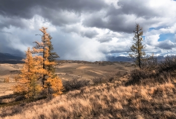 Altai Herbst / ***