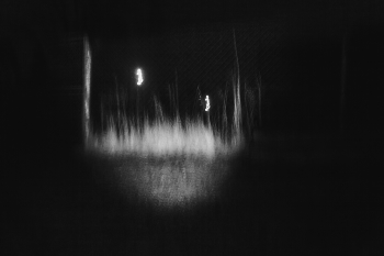 Leben rund um / ***