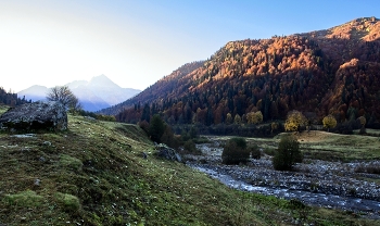 Herbstmorgen ... / ***