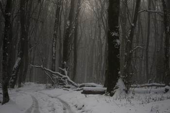 Der Winter kam / ***