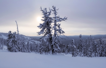 Taiga Morgen / ***