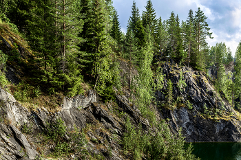 und Bäume auf den Felsen / ***