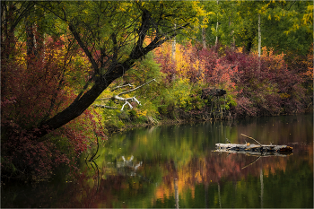 Herbst / ***