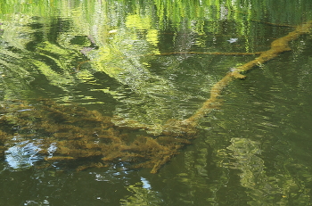 Leben nach dem Tod / ***