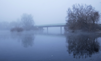 Abendnebel / ***