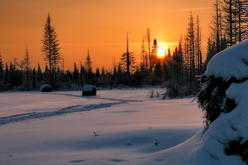 Abend / ***