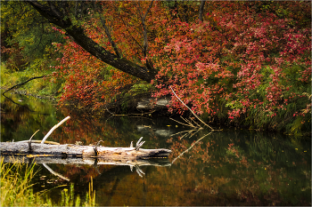 Herbst / ***