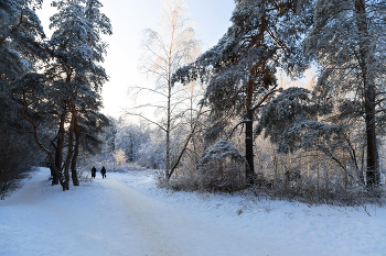 Winter im Park / ***