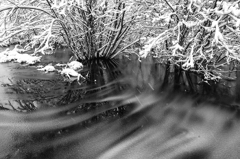 Leben rund um / ***