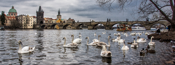 Karlsbrücke / ***