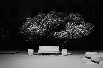 silent night / silent night