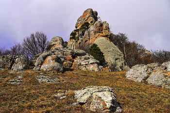 Rock / ***